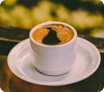 Best Cup of Drinks for Your Break Today